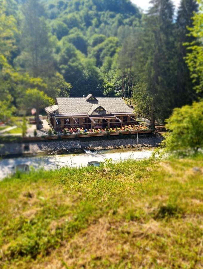 Appartamento Anin Dvor Sekovici Esterno foto
