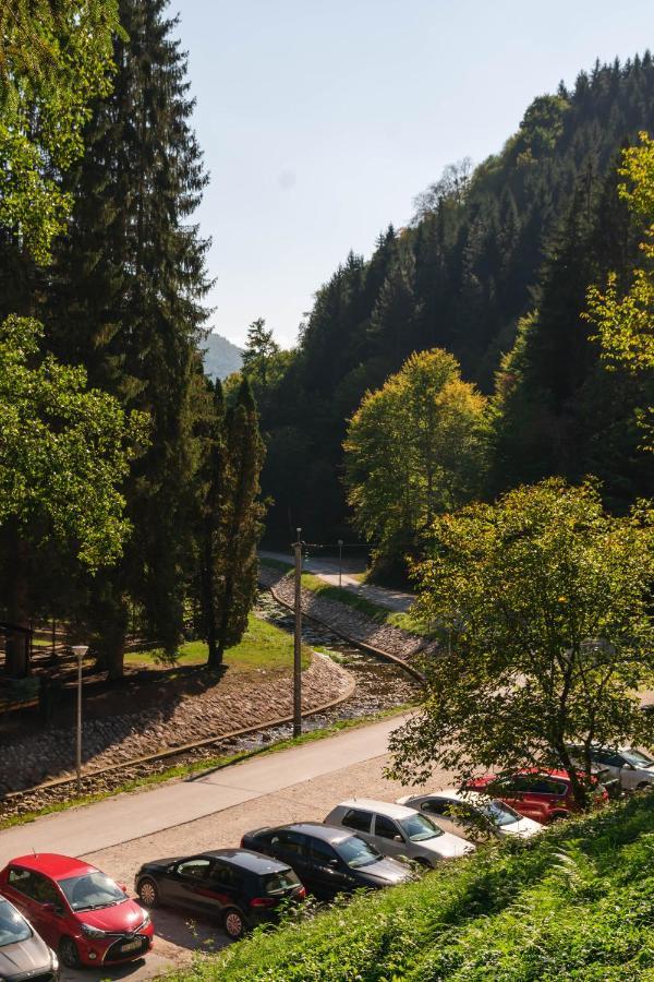 Appartamento Anin Dvor Sekovici Esterno foto