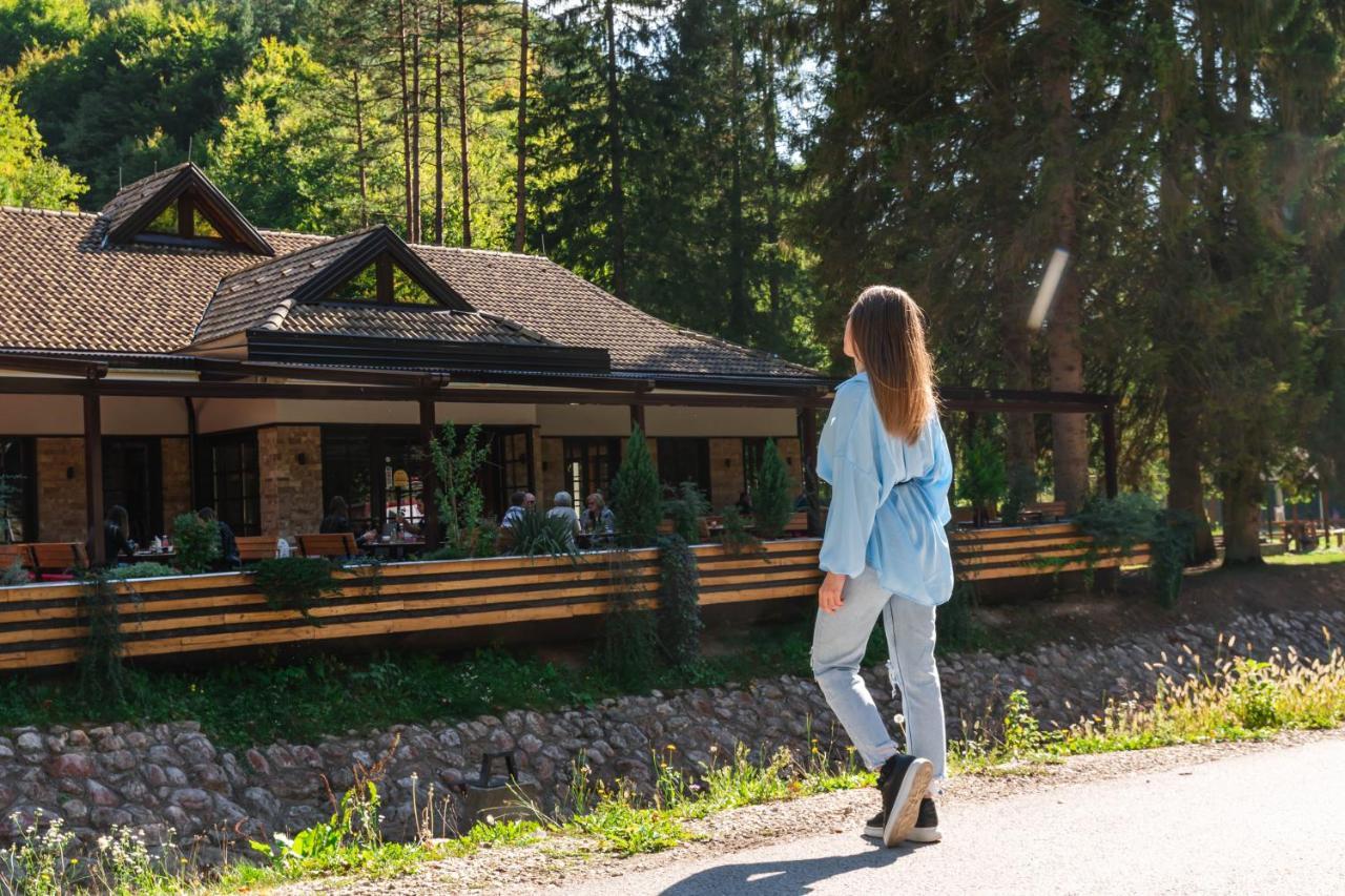 Appartamento Anin Dvor Sekovici Esterno foto