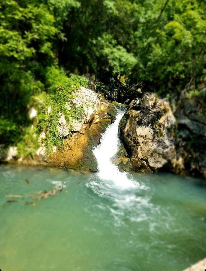 Appartamento Anin Dvor Sekovici Esterno foto